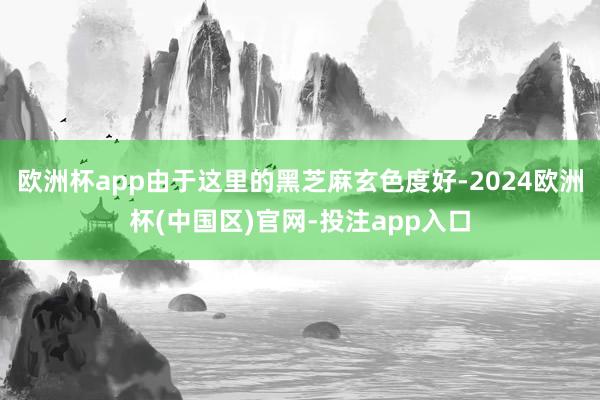 欧洲杯app由于这里的黑芝麻玄色度好-2024欧洲杯(中国区)官网-投注app入口