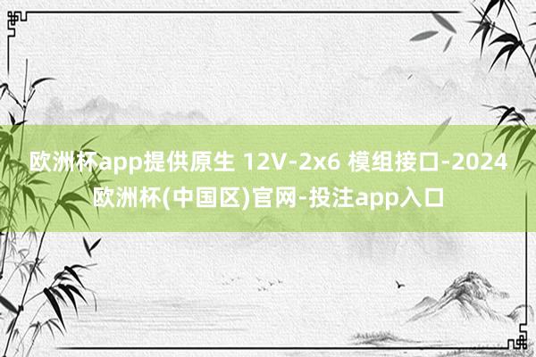 欧洲杯app提供原生 12V-2x6 模组接口-2024欧洲杯(中国区)官网-投注app入口