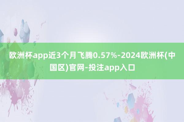 欧洲杯app近3个月飞腾0.57%-2024欧洲杯(中国区)官网-投注app入口