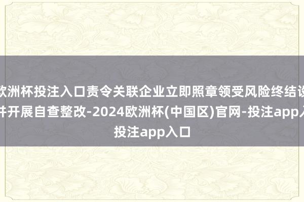 欧洲杯投注入口责令关联企业立即照章领受风险终结设施并开展自查整改-2024欧洲杯(中国区)官网-投注app入口