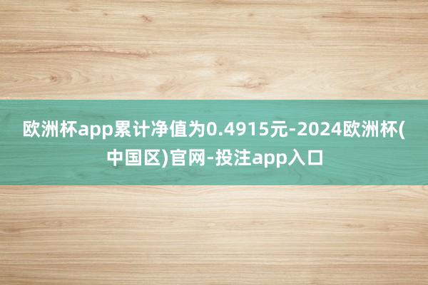 欧洲杯app累计净值为0.4915元-2024欧洲杯(中国区)官网-投注app入口