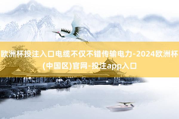 欧洲杯投注入口电缆不仅不错传输电力-2024欧洲杯(中国区)官网-投注app入口